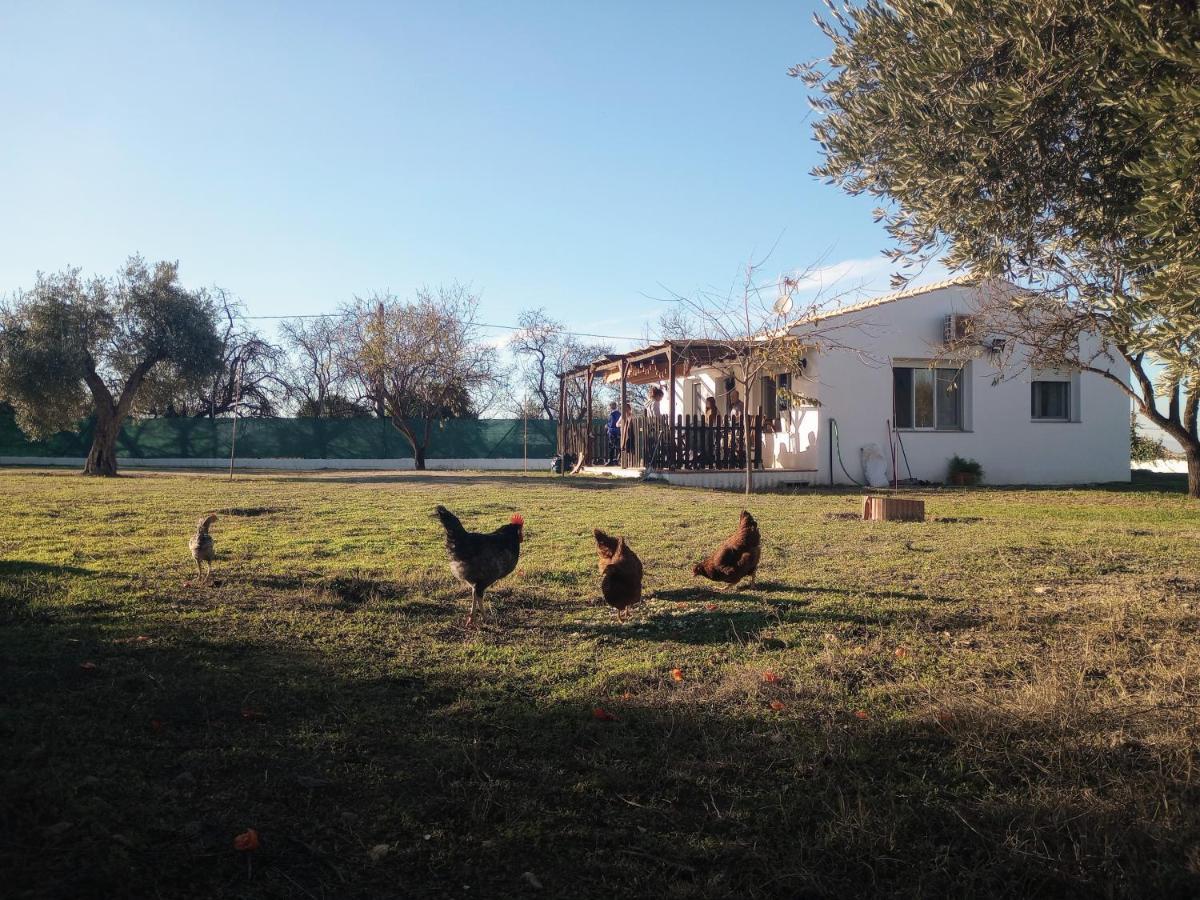 Casa De Campo Los Manueles Ideal Perros Pet Friendly Гохар Экстерьер фото