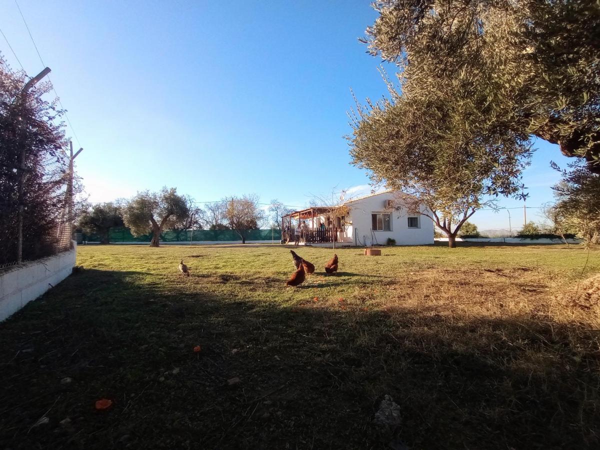 Casa De Campo Los Manueles Ideal Perros Pet Friendly Гохар Экстерьер фото