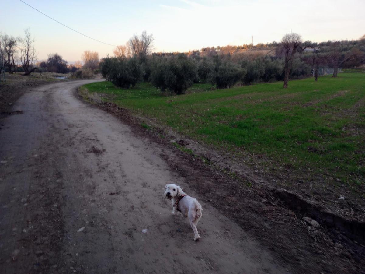 Casa De Campo Los Manueles Ideal Perros Pet Friendly Гохар Экстерьер фото